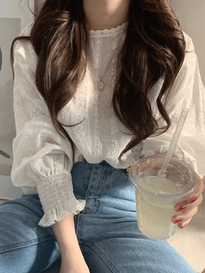 Crochet Lace Long Sleeve Blouse - AnotherChill