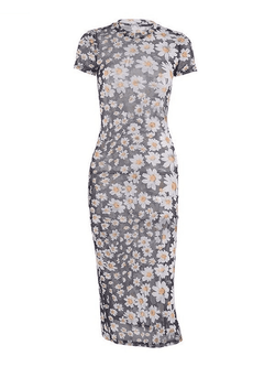 Daisy Print Mesh Maxi Dress - AnotherChill