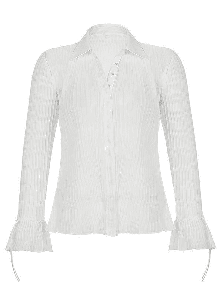 Semi Sheer Long Sleeve Pleated Blouse - AnotherChill