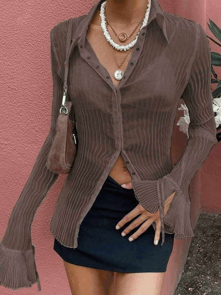 Semi Sheer Long Sleeve Pleated Blouse - AnotherChill