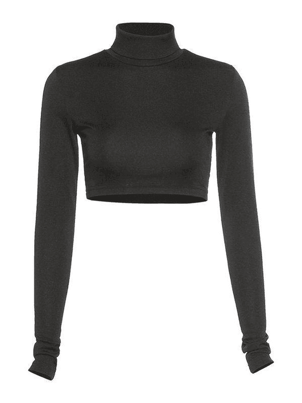 Turtleneck Long Sleeve Crop Top - AnotherChill