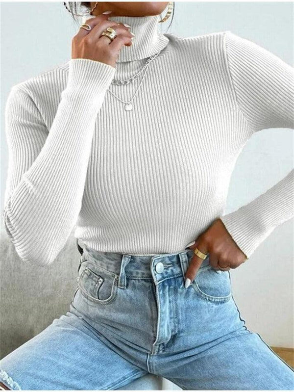 Turtleneck Ribbed Knit Sweater - AnotherChill